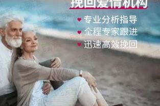 上海婚介价格行情与最新报价全解析（2025年实用指南）